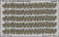 Ivy-berry / Efeu colour