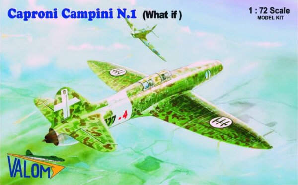 Caproni Campini N.1 What If""