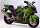 Kawasaki Ninja ZX-12R 1999