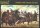 Saladin with Saracens Cavalry