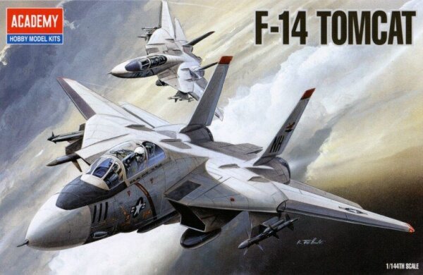 F-14 Tomcat