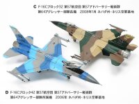 1/48 Lockheed-Martin F-16C/N Aggressor/Adversary