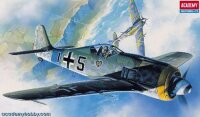 1/72 Focke Wulf Fw-190A6/A8