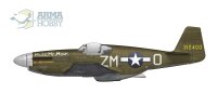 North-American F-6C Mustang "Expert Set"