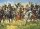 1/72 French Dragoons 1815