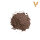 Burnt Umber 30ml