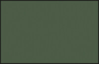 73 Dark Green 2 semi-gloss / Dunkelgrün seidenmatt...