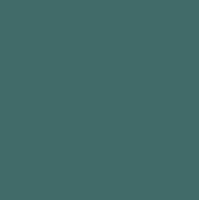 H305 Gray FS36118 / grau seidenmatt 10 ml