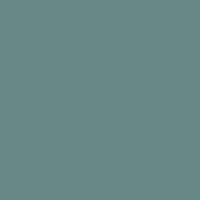 H306 Grey (grau) FS36270 (10 ml)