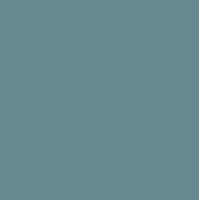 H307 Grey (grau) FS36320 (10 ml)