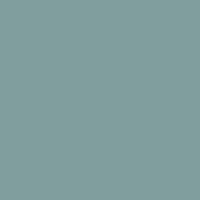 H308 Grey (grau) FS36375 (10 ml)
