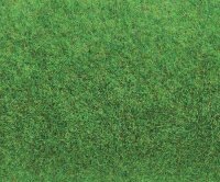 Geländematte, hellgrün 100 x 75 cm