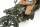 1/35 British BSA M20 Motorcycle with Military Police