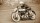1/9 Norton Manx 550 ccm (1951)