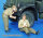 1/35 British Soldiers, WWII - Shaving & Resting