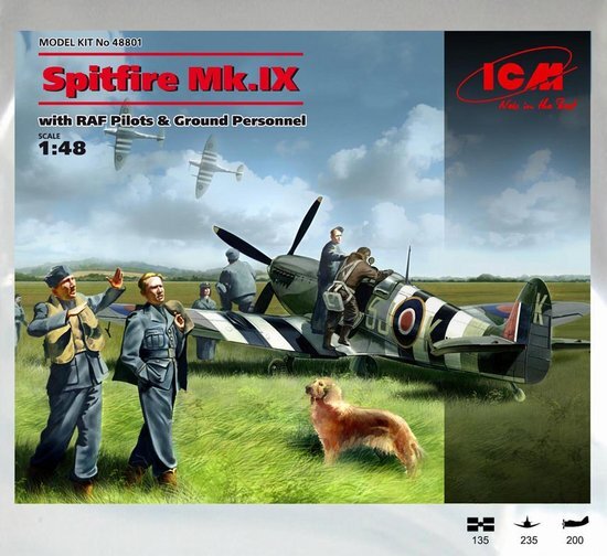 Spitfire Mk. IX + RAF Pilots & Ground Personnel