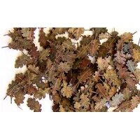 Oak Leaves - Eichenblätter - Extrafarben
