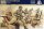 1/72 WWII German Afrikakorps