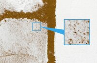 Pulverschnee-Effekt (weiss) 100ml Diorama Texturfarbe