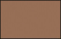 66 Sandbraun RLM79 seidenmatt (10 ml)