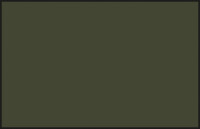 78 gelboliv (oliv drab) 10 ml