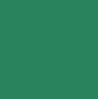 Green (grün) FS34227 (10 ml)