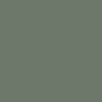 H317 Grey (grau) FS36231 (10 ml)