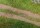Streumaterial Feldweg/Bankett, 300 g