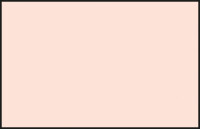 C111 Mr. Color Character Flesh / Figur Fleischfarbe (10ml)