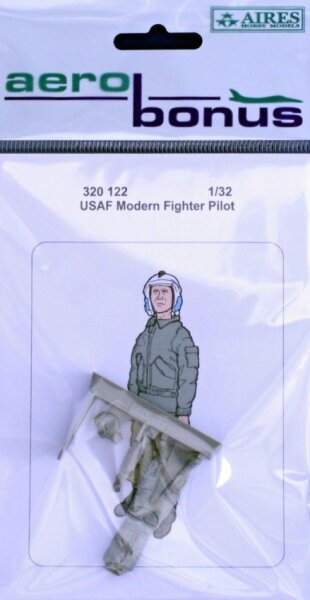 USAF Modern Fighter Pilot