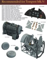 Hawker Tempest Mk.V gun bays