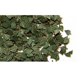 1/35 Grüne Birkenblätter