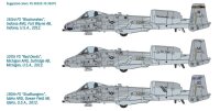 Fairchild A-10C Thunderbolt II Blacksnakes