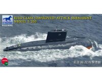 Kilo Class (improved) Attack Submarine (U-Boot)