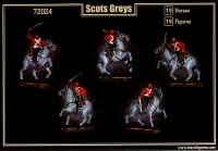 Scot Greys (Napoleonic Wars)