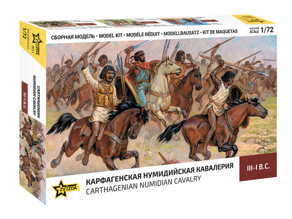 1/72 Carthaginian Numidian Cavalry