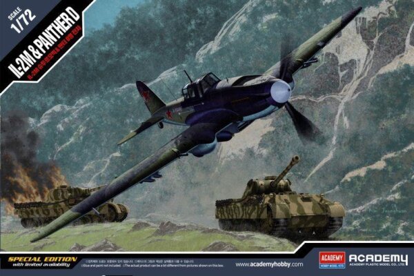 1/72 IL-2M Stormovik & Pz.Kpfw.V Ausf. D Panther