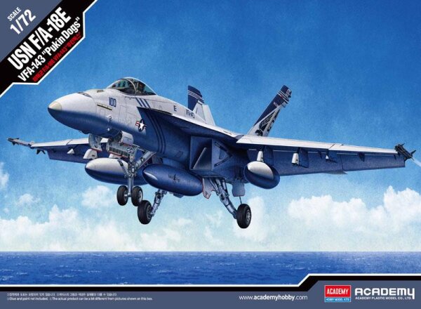 1/72 US Navy F/A-18E Super Hornet VFA-143 "Pukin Dogs"