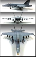 1/72 US Navy F/A-18E Super Hornet VFA-143 "Pukin...