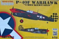 Curtiss P-40F / P-40L Warhawk Checkertails""