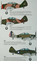 Seversky P-35 War games and War Training""