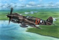 Curtiss P-40E Warhawk Claws and Teeth""