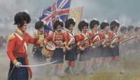 Highlanders in Attack(Napoleon Era)