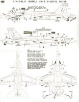 F/A-18F Superhornet + EA-18G Growler