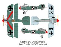 Albatros D.V (Dual Combo)
