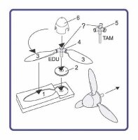 Focke Wulf Fw-190D-9 Propeller with tool