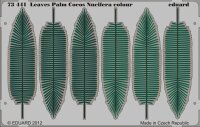 Leaves Palm Cocos Nucifera colour