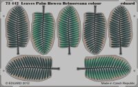 Leaves Palm Howea Belmoreana colour