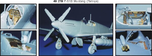 P-51B Mustang (TAM)