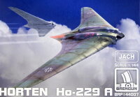 Horten Ho-229A